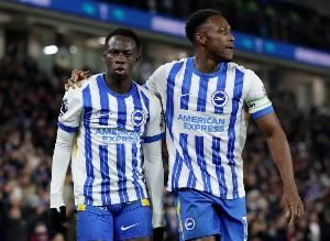 维尔贝克:布莱顿对胜利欣喜若狂 遗传优良基因让我保持好的状态 维尔贝克:布莱顿对胜利欣喜若狂 遗传优良基因让我保持好的状态